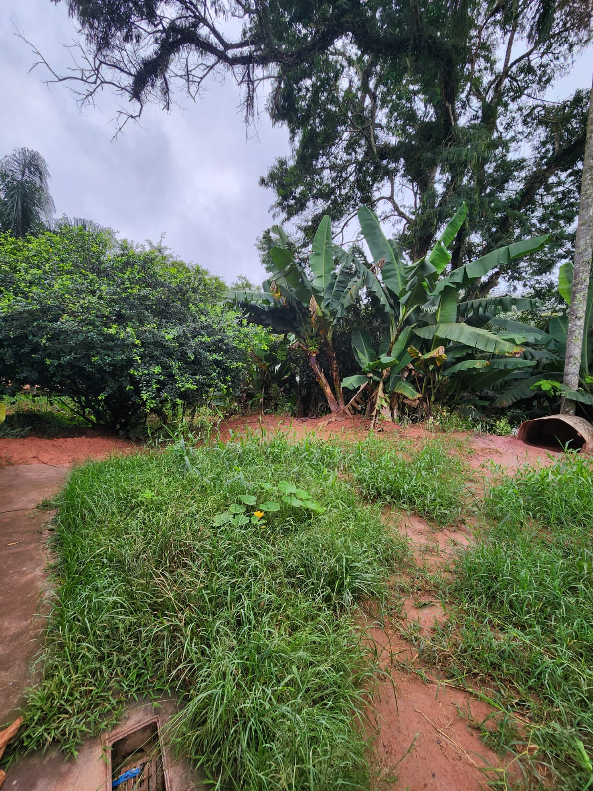 Chácara em biritibamirim - bairro santa catarina