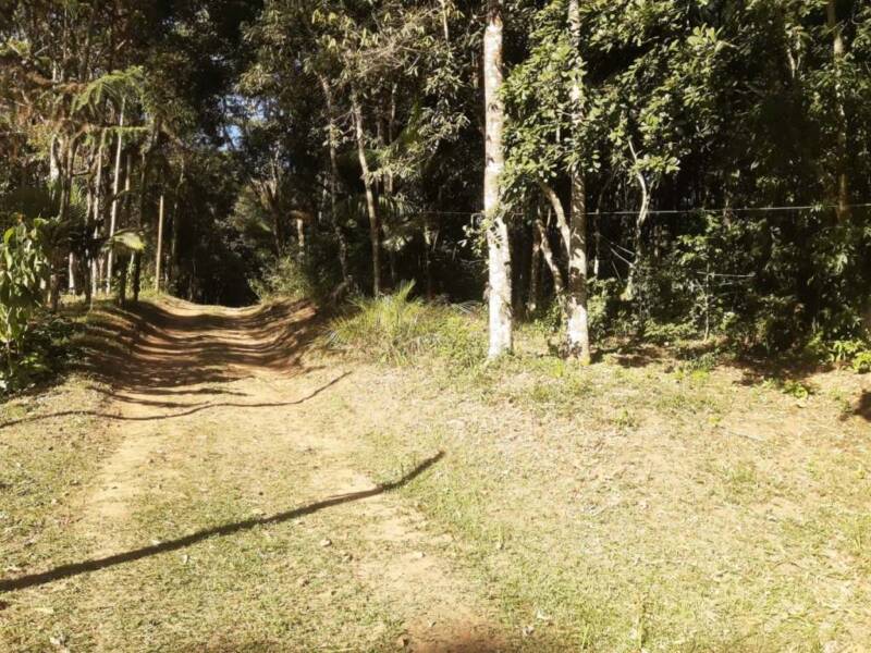 SÍtio de 20.000 m² com nascente
