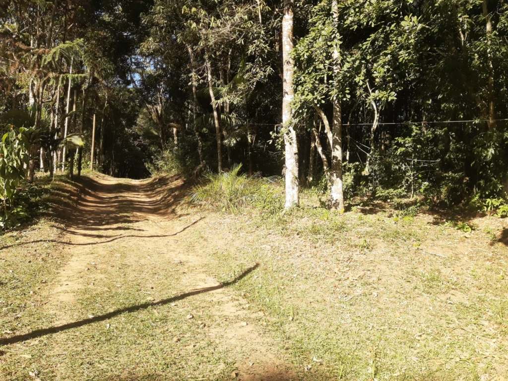 SÍtio de 20.000 m² com nascente