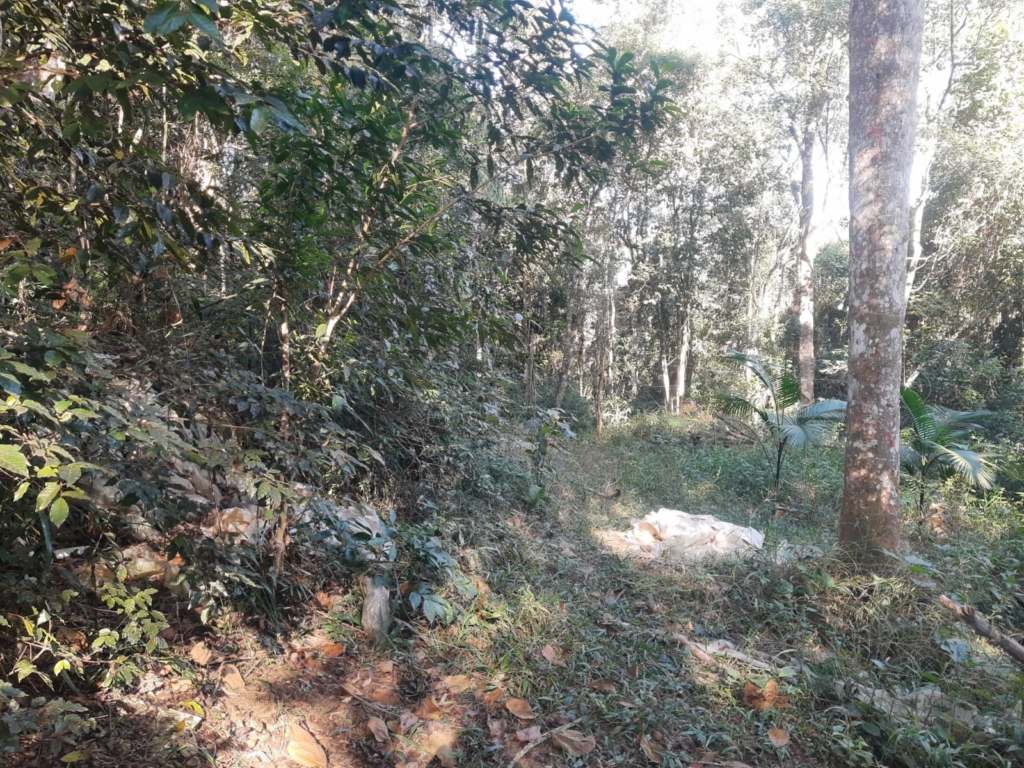SÍtio de 20.000 m² com nascente
