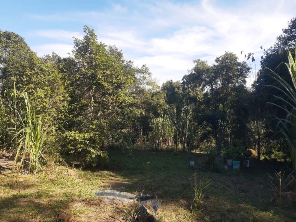 SÍtio de 20.000 m² com nascente