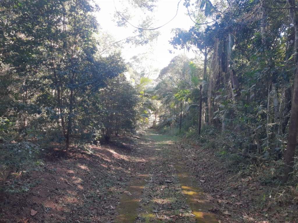 SÍtio de 20.000 m² com nascente