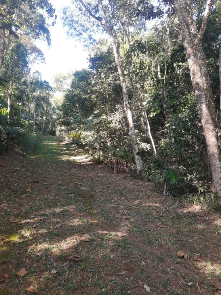 SÍtio de 20.000 m² com nascente