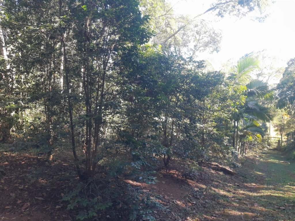 SÍtio de 20.000 m² com nascente