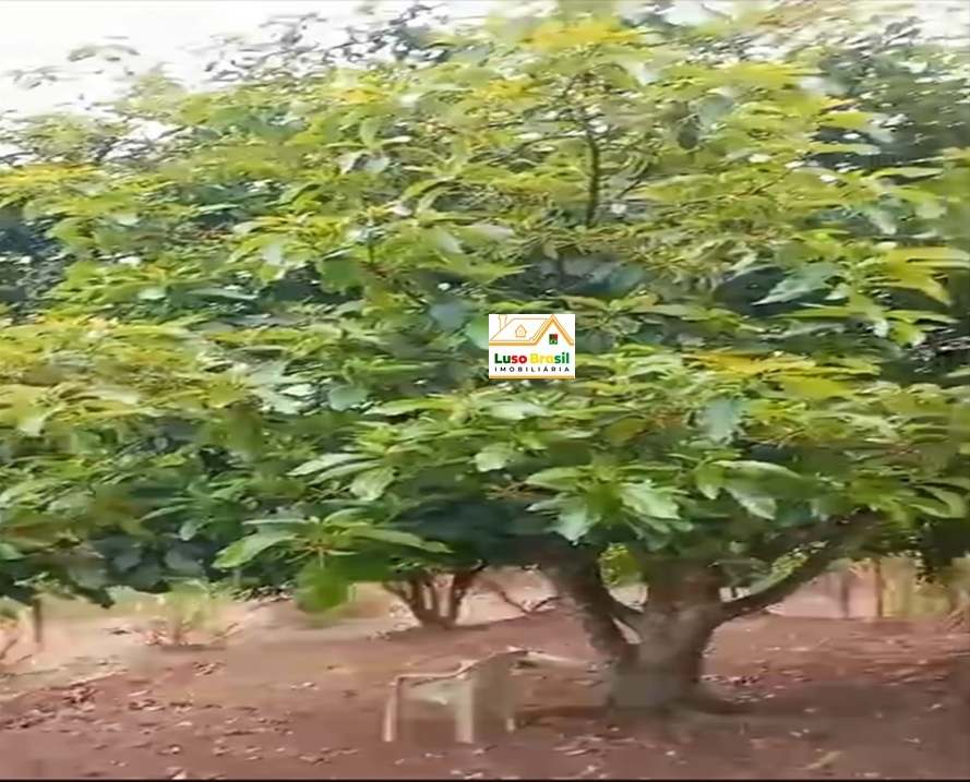 Chácara de 2000 m² apenas 300,00