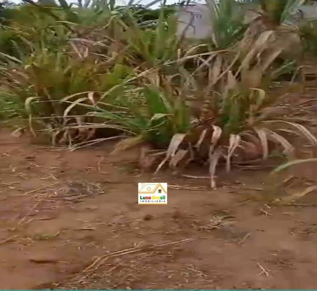 Chácara de 2000 m² apenas 300,00