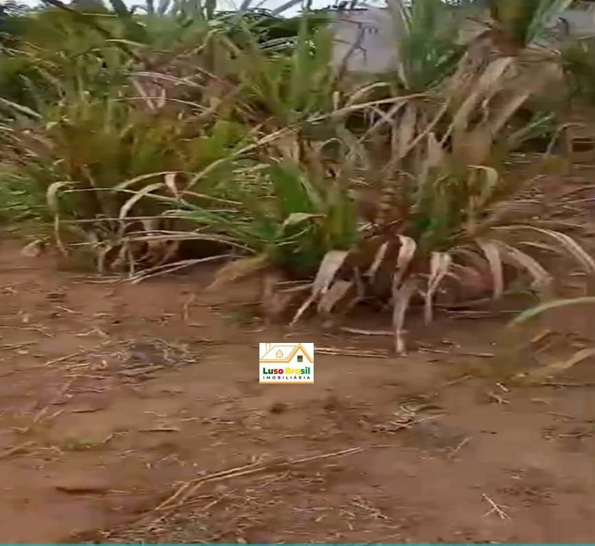 Chácara de 2000 m² apenas 300,00