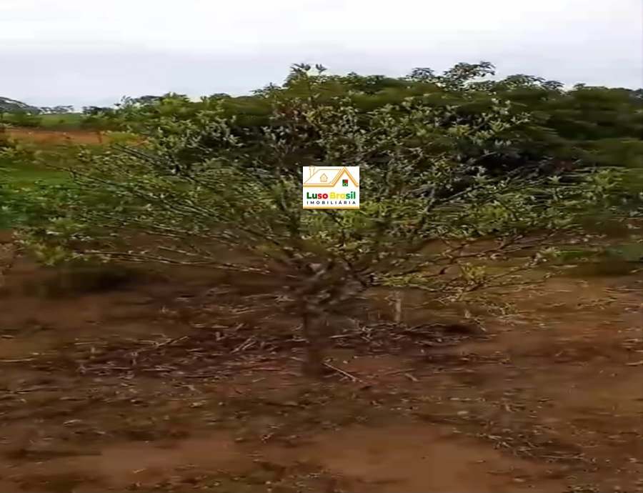 Chácara de 2000 m² apenas 300,00