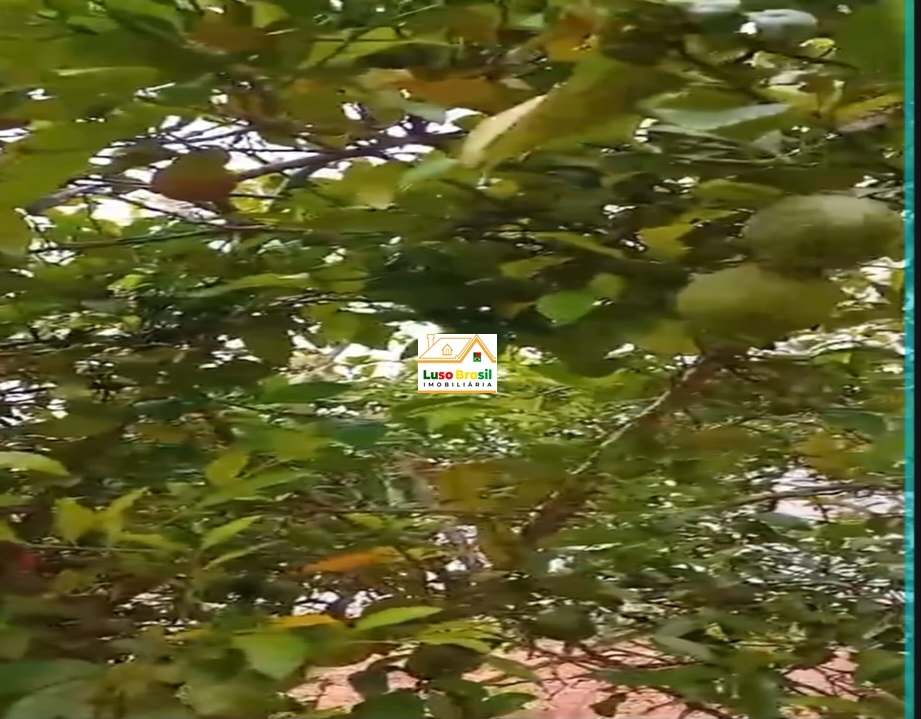 Chácara de 2000 m² apenas 300,00