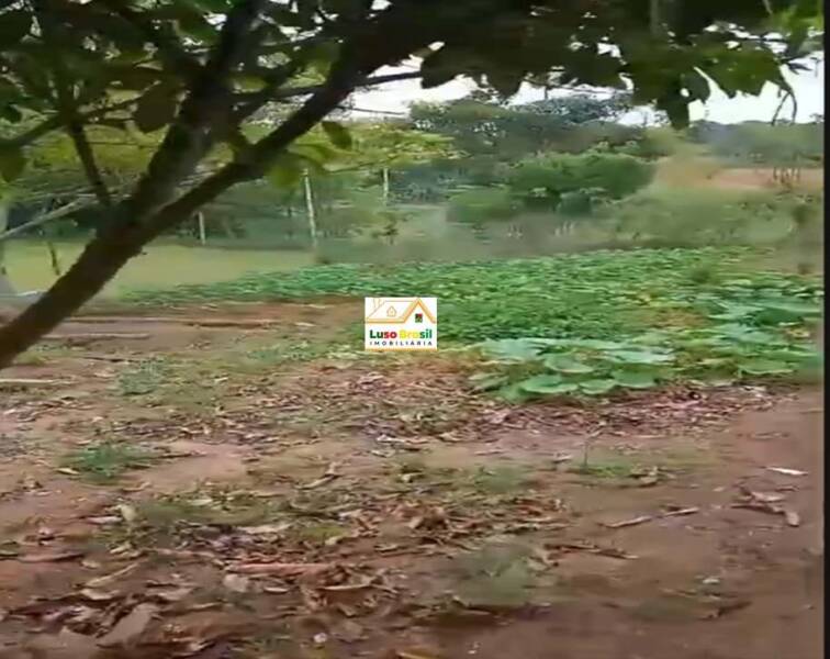 Chácara de 2000 m² apenas 300,00