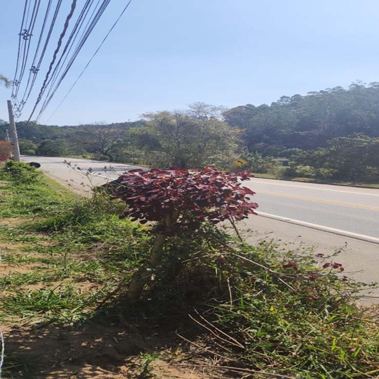 Terreno 4000 m² ao lado da rodovia, apenas 369 mil