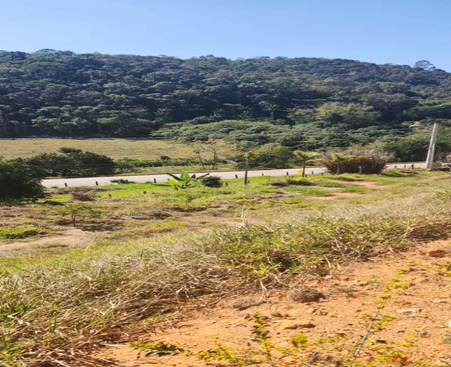 Terreno 4000 m² ao lado da rodovia, apenas 369 mil
