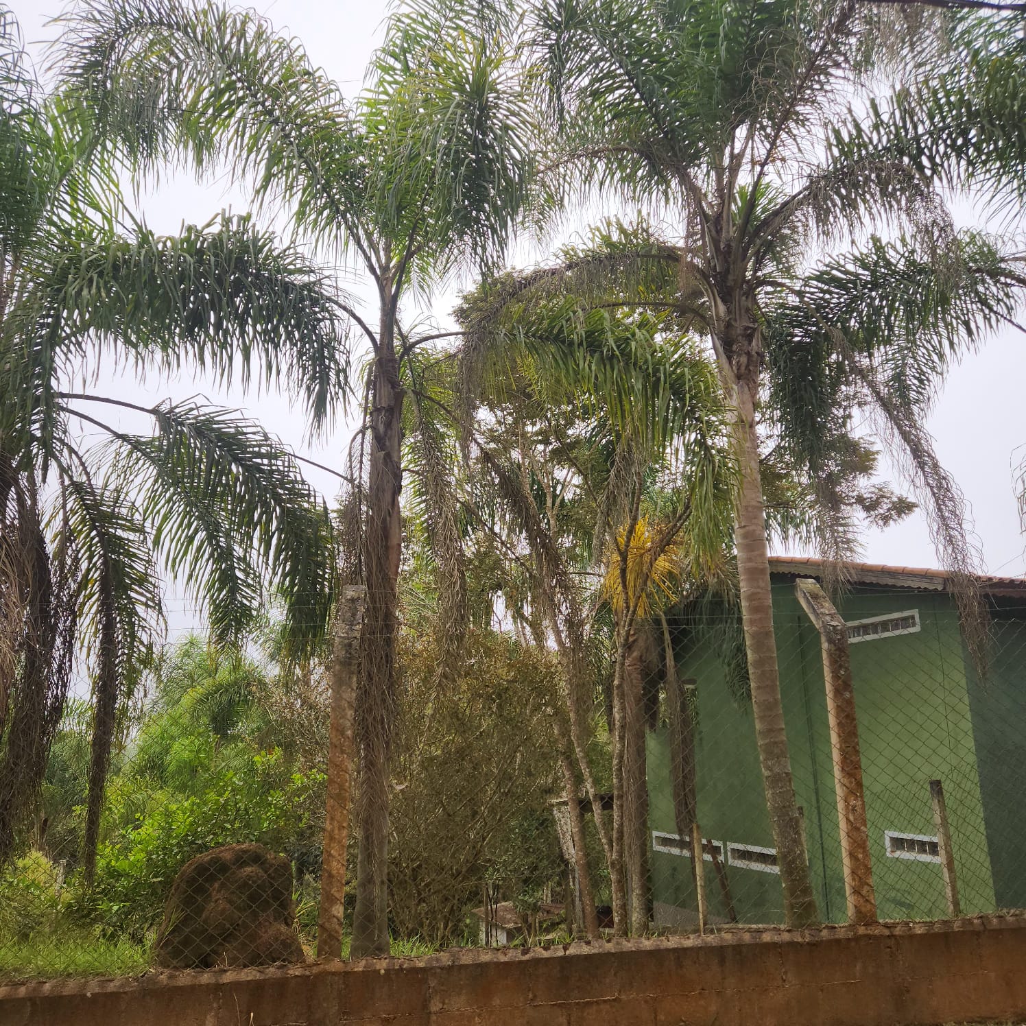 Sitio com 20.356 m²  - apenas 550 mil