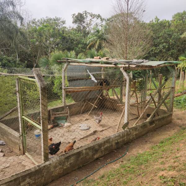 Sitio com 20.356 m²  - apenas 550 mil