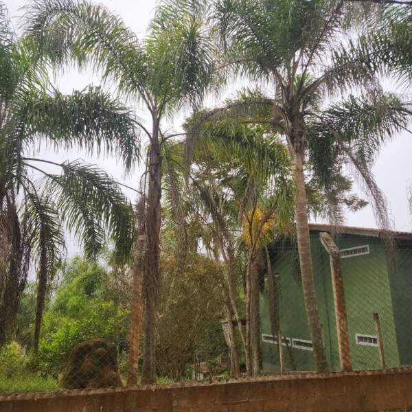 Sitio com 20.356 m²  - apenas 550 mil