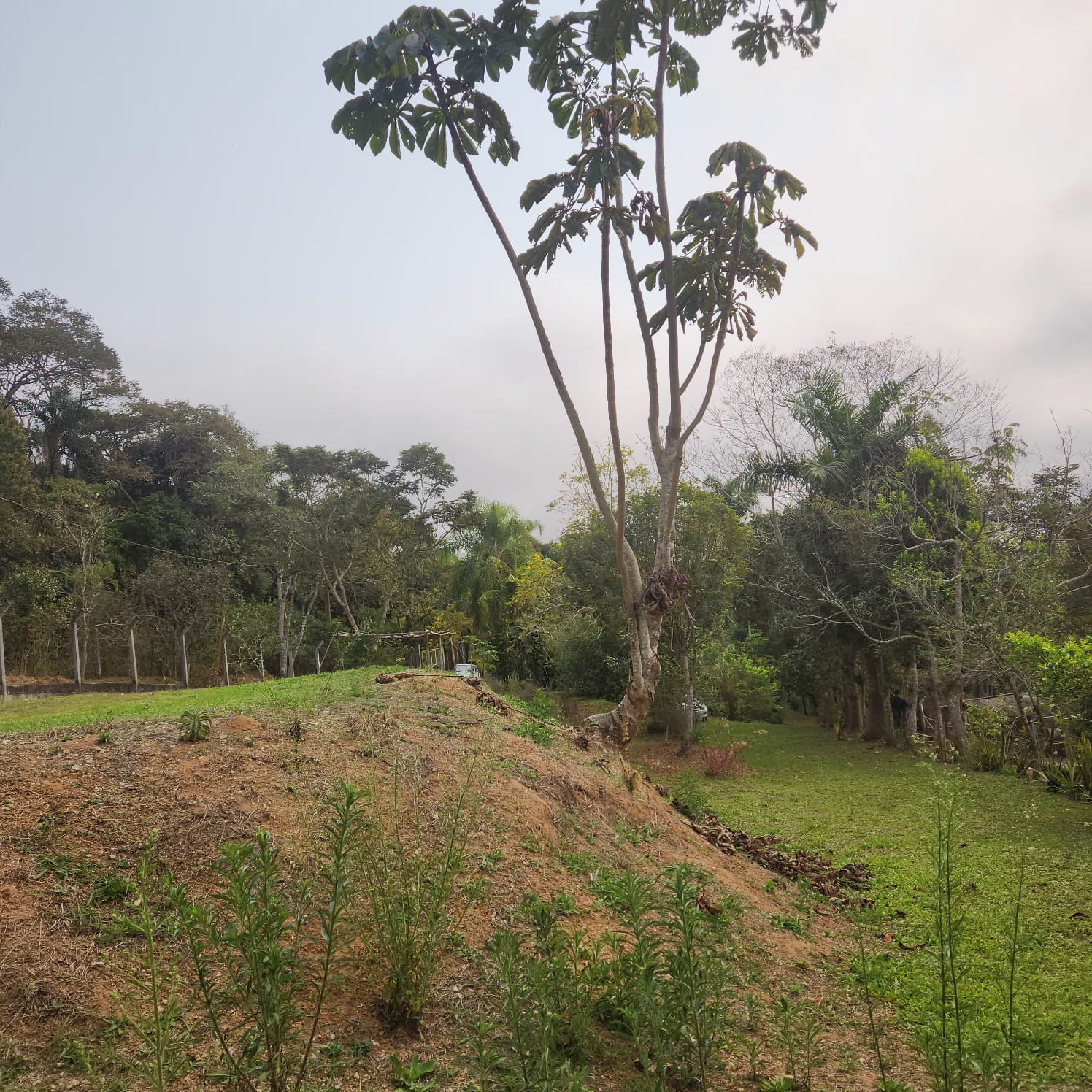 Sitio com 20.356 m²  - apenas 550 mil