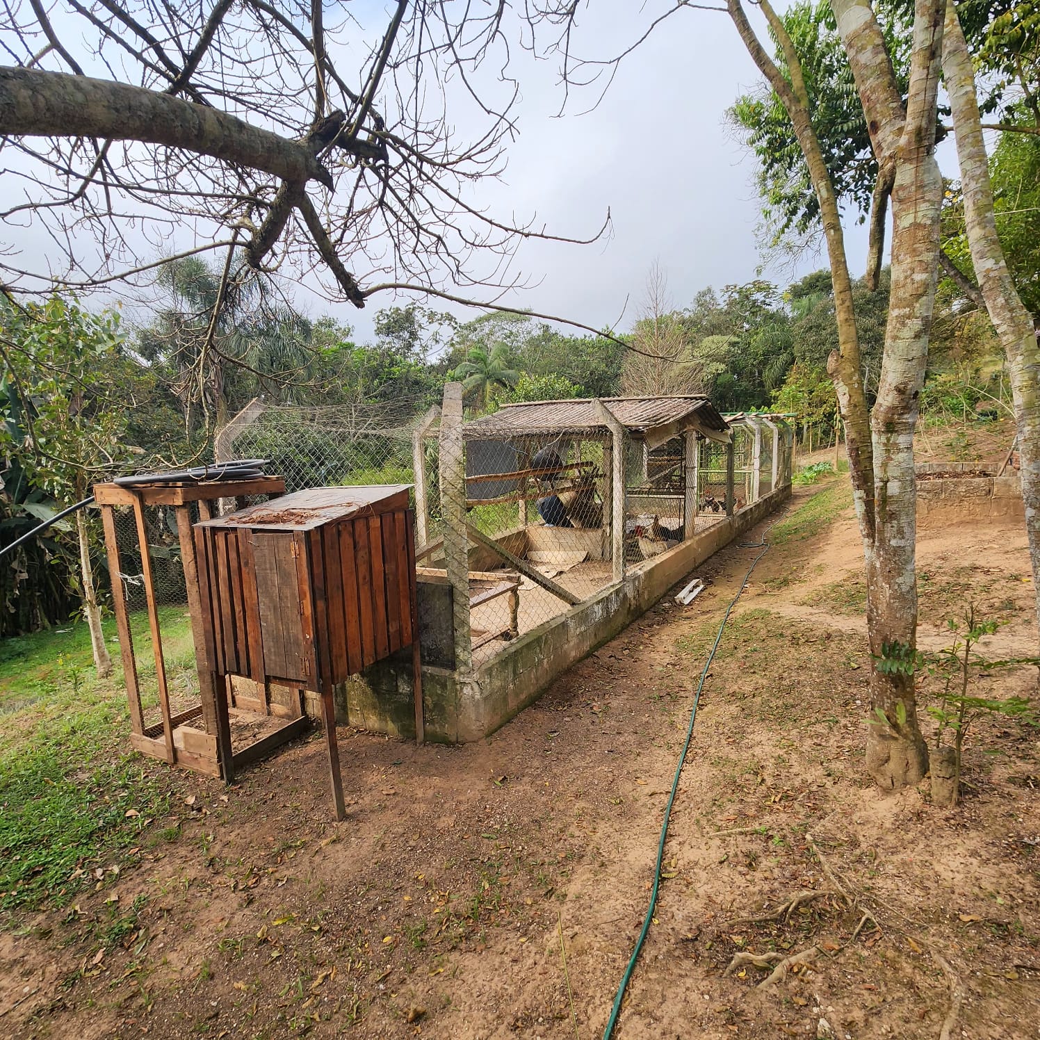 Sitio com 20.356 m²  - apenas 550 mil