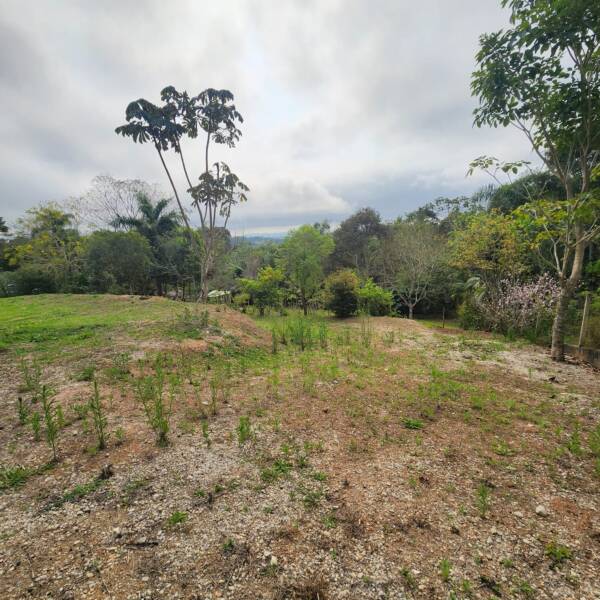 Sitio com 20.356 m²  - apenas 550 mil