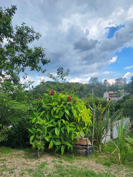 Chácara em salesópolis - r$ 520.000,00