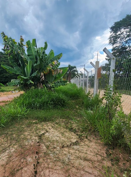 Chácara em salesópolis - r$ 520.000,00