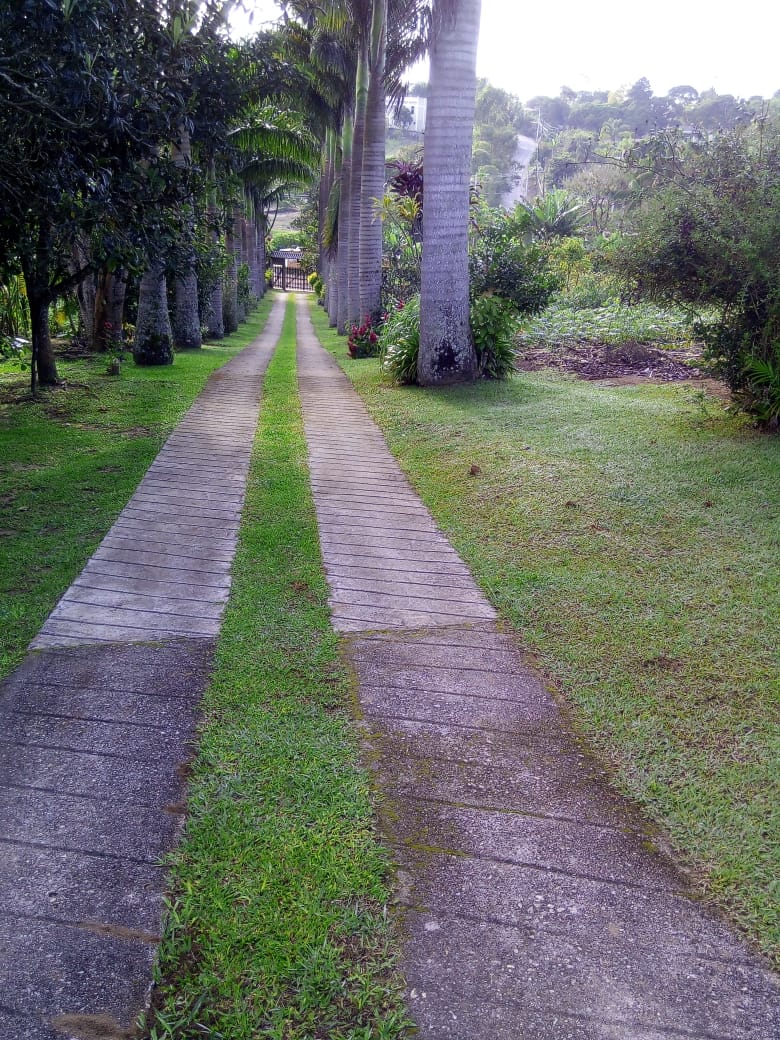 Chácara com 6.600 m² biritiba mirim apenas r$ 750 mil