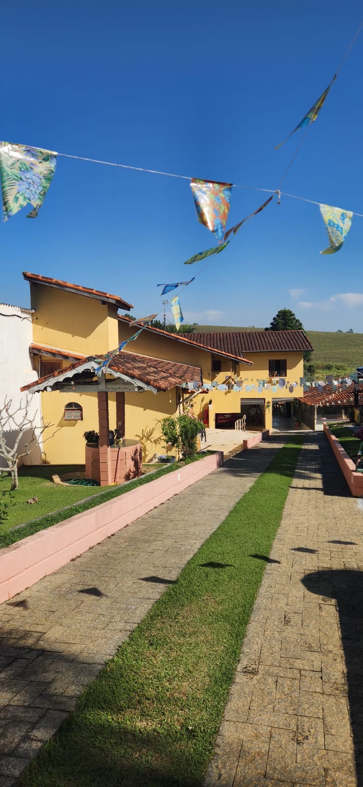 Rascunho automático