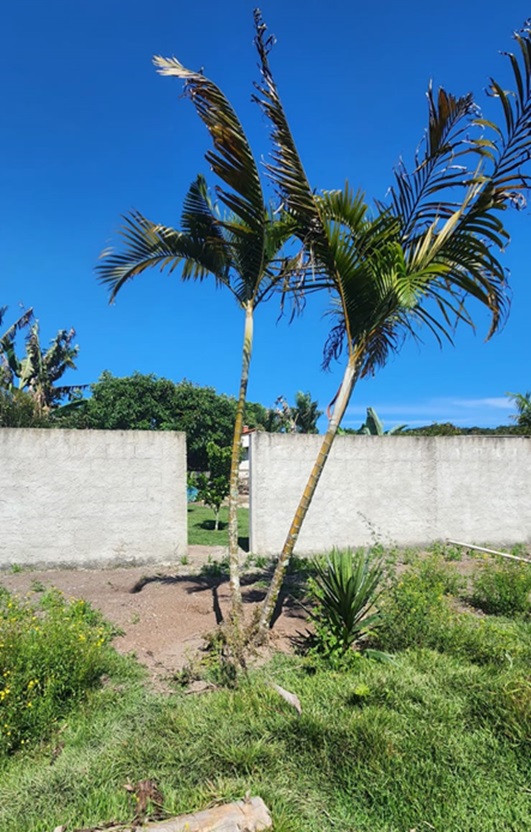 Chácara biritiba mirim – 2.129 m² de tradição e conforto por apenas r$ 600.000