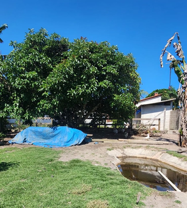 Chácara biritiba mirim – 2.129 m² de tradição e conforto por apenas r$ 600.000