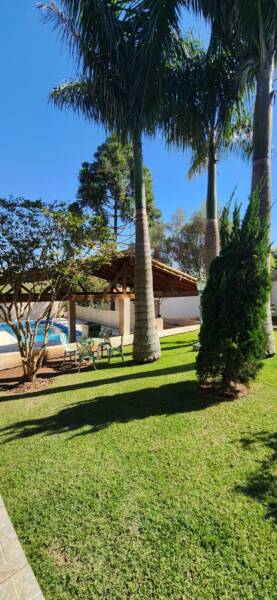 Rascunho automático