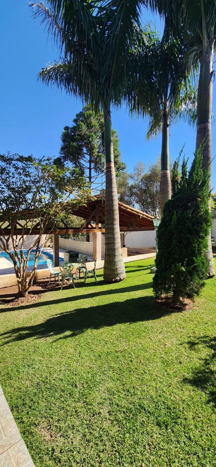 Rascunho automático