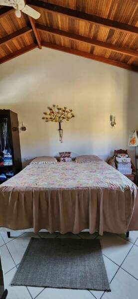 Rascunho automático