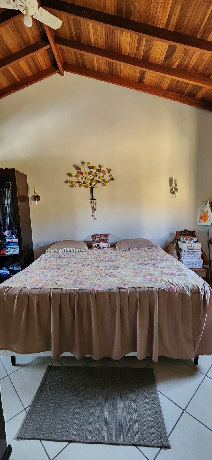 Rascunho automático