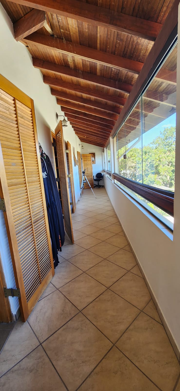 Rascunho automático