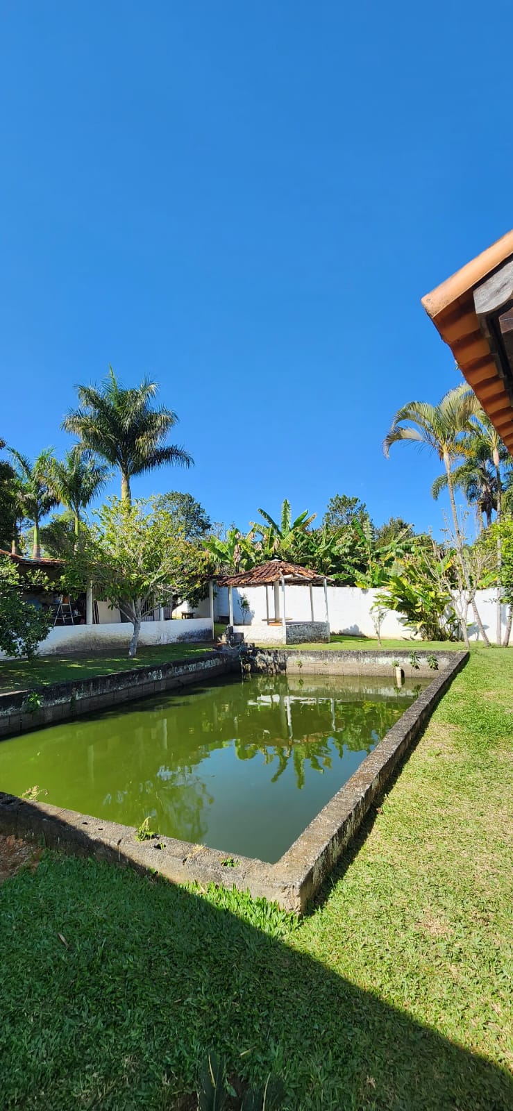 Rascunho automático