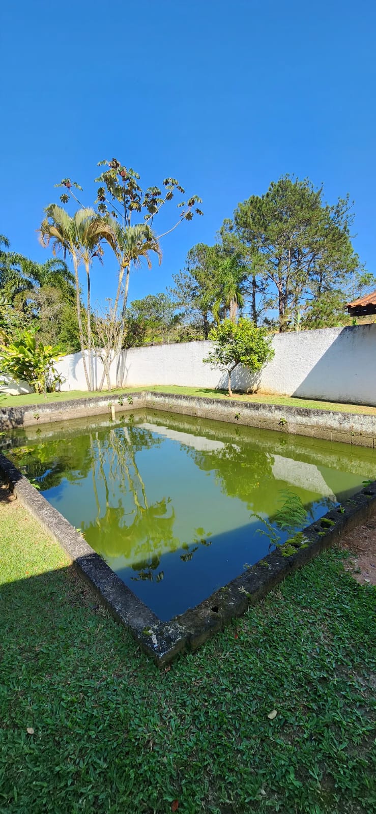 Rascunho automático