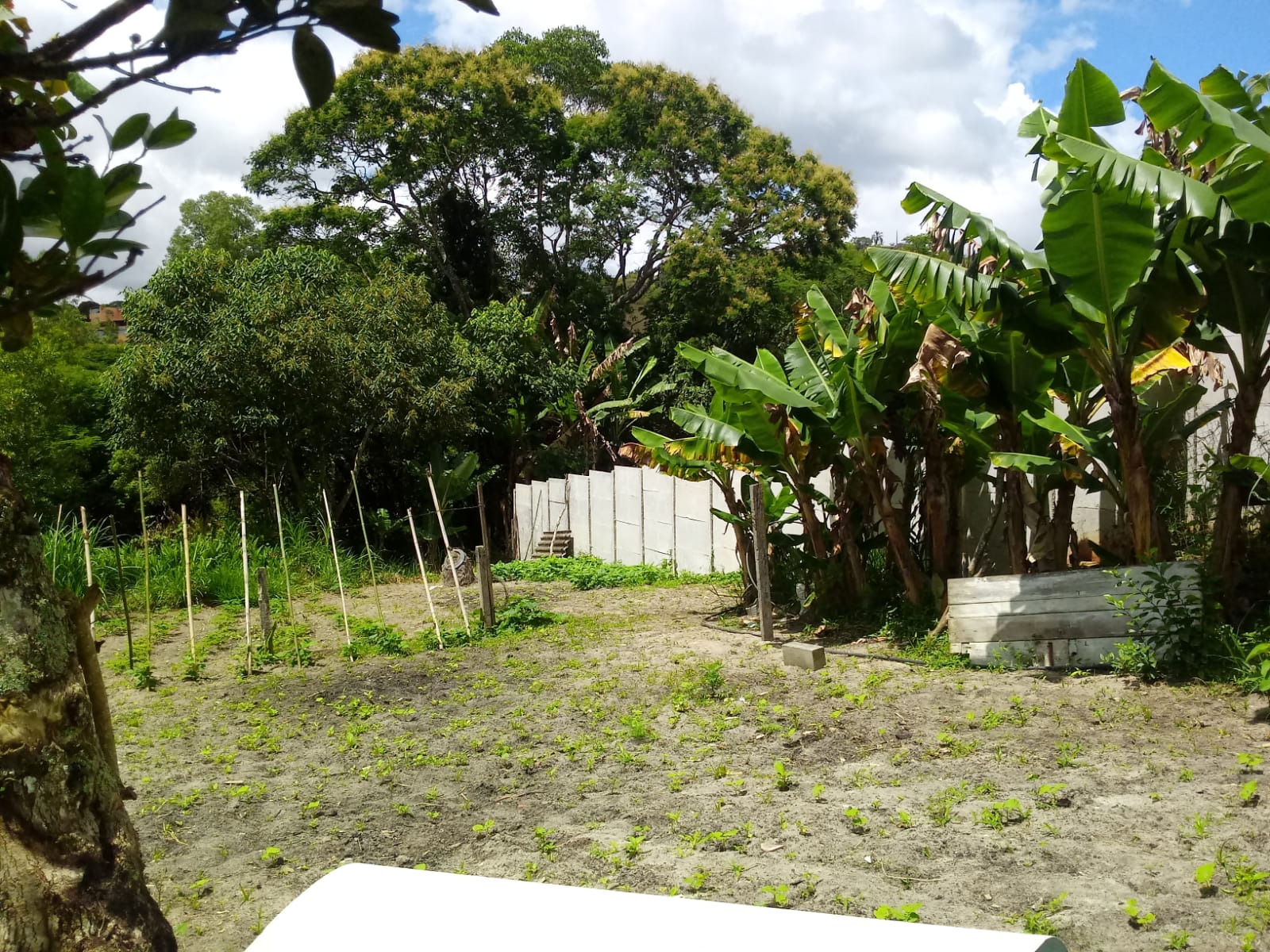 ChÁcara de 2.000 m² para morar ou investir