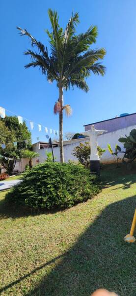 Rascunho automático