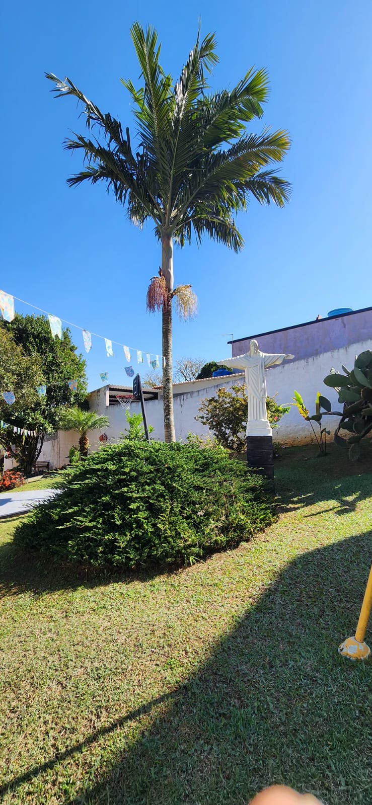 Rascunho automático