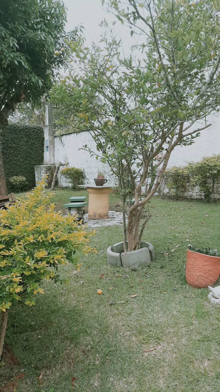 Vende-se chácara estilo rústico em biritiba mirim, 1000 m² apenas 600 mil