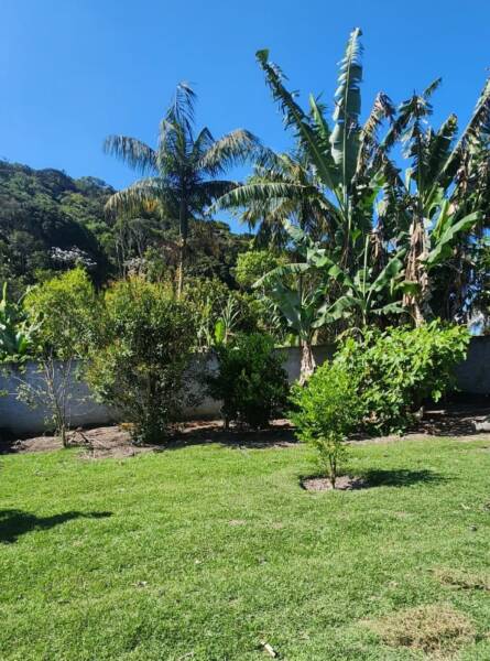 Chácara biritiba mirim – 2.129 m² de tradição e conforto por apenas r$ 600.000
