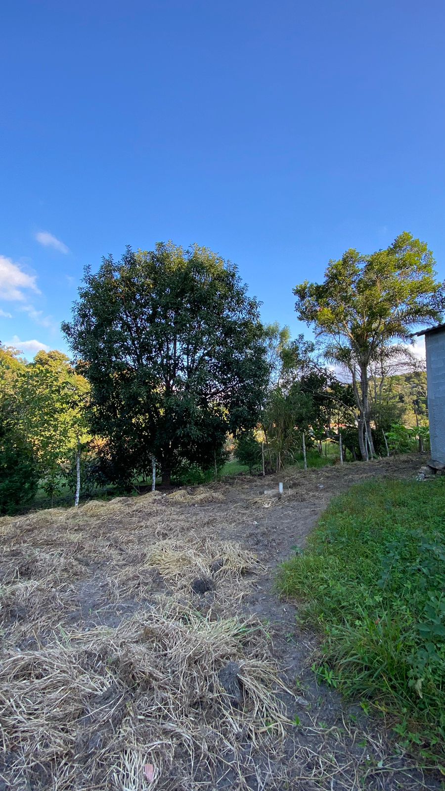 Oportunidade! chácara c/ 2 casas em biritiba mirim