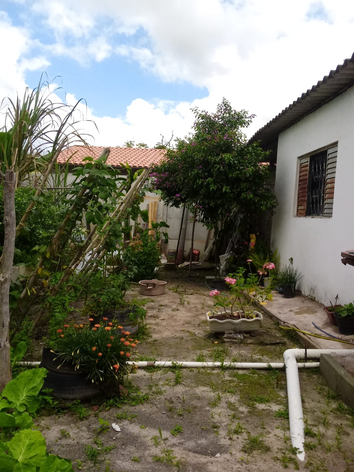 ChÁcara de 2.000 m² para morar ou investir