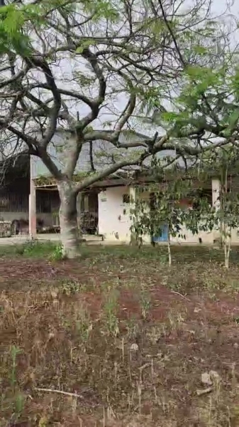 SÍtio À venda em biritiba mirim – 35 alqueires | r$ 2.500.000,00 (negociÁvel)