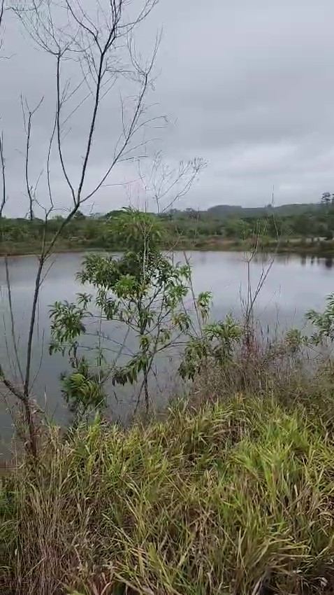 SÍtio À venda em biritiba mirim – 35 alqueires | r$ 2.500.000,00 (negociÁvel)