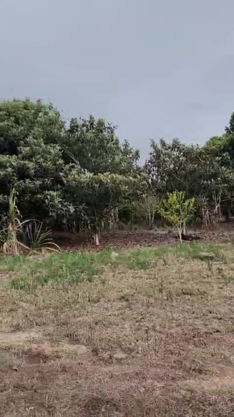 SÍtio À venda em biritiba mirim – 35 alqueires | r$ 2.500.000,00 (negociÁvel)