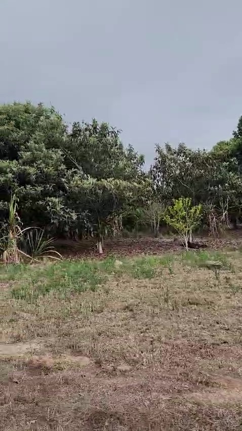 SÍtio À venda em biritiba mirim – 35 alqueires | r$ 2.500.000,00 (negociÁvel)
