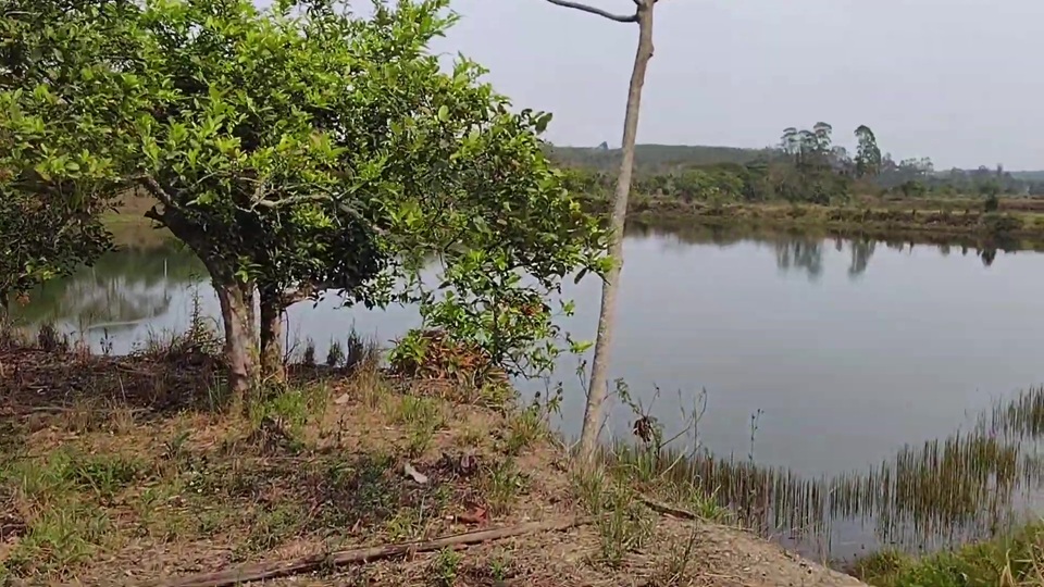 SÍtio À venda em biritiba mirim – 35 alqueires | r$ 2.500.000,00 (negociÁvel)