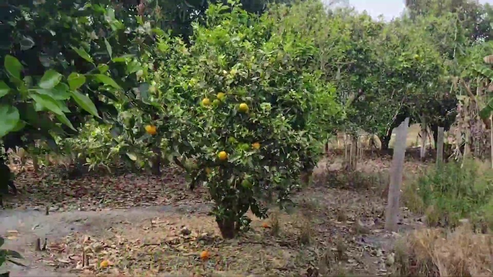 SÍtio À venda em biritiba mirim – 35 alqueires | r$ 2.500.000,00 (negociÁvel)