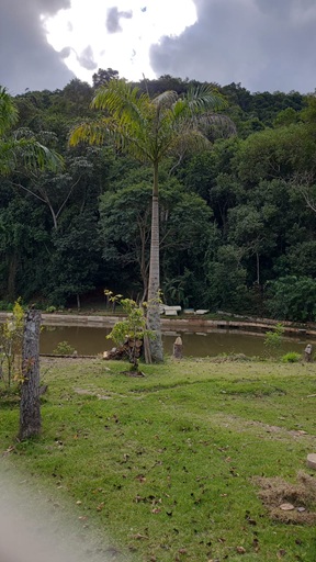 Sítio à venda em guararema, refúgio natural com casa, lagos e 22.000 m²