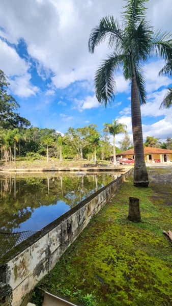 Sítio à venda em guararema, refúgio natural com casa, lagos e 22.000 m²